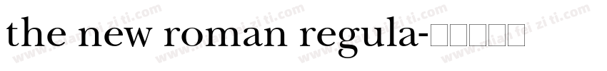 the new roman regula字体转换